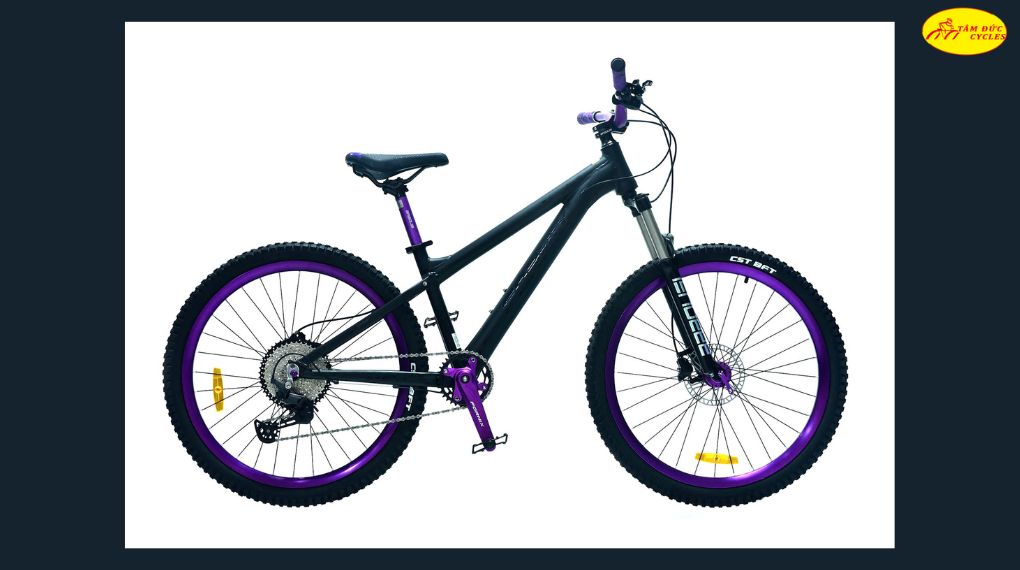 Xe đạp địa hình Fornix X12