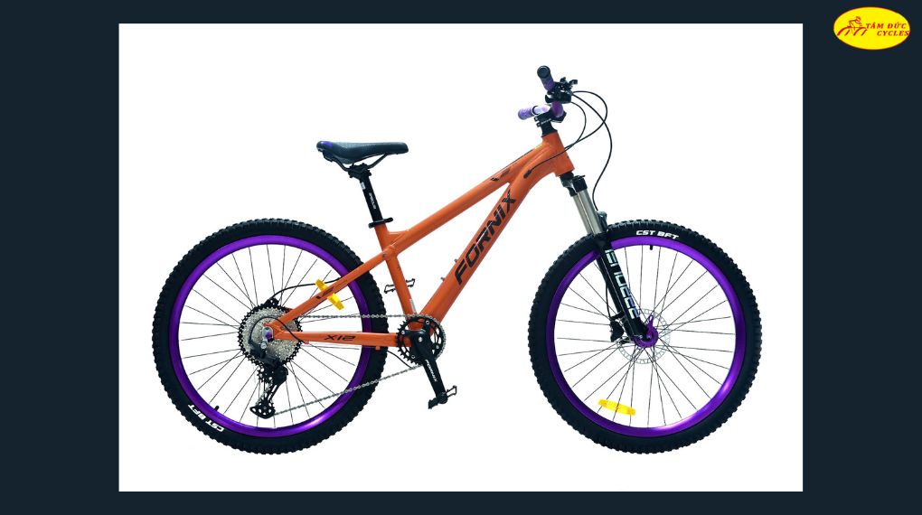 Xe đạp địa hình Fornix X12