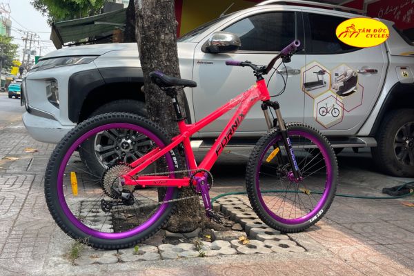 Xe đạp địa hình Fornix X12