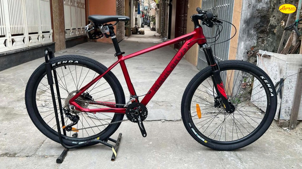 mtb magicbros