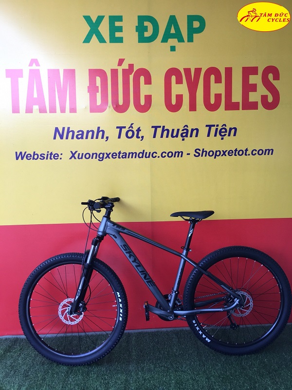 Pin xe đạp điện phích nước 24v 36v 48v  King Bicycle  Vua xe đạp nhật  bãi tại Hà Nội 0983388185