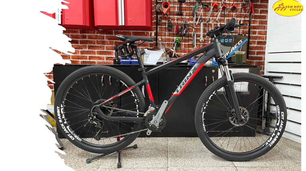 Xe đạp Trinx D700 Elite