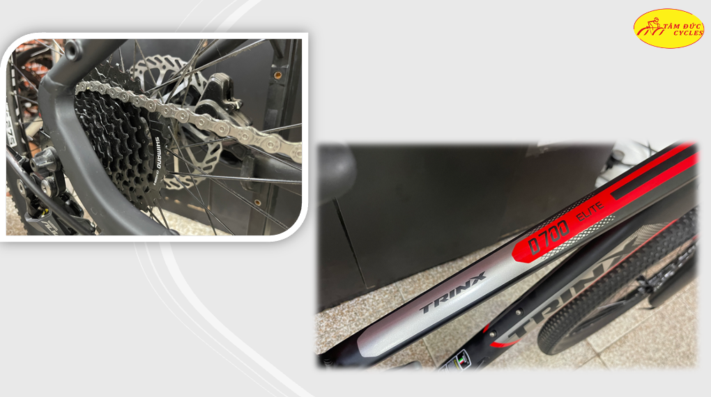 Xe đạp Trinx D700 Elite