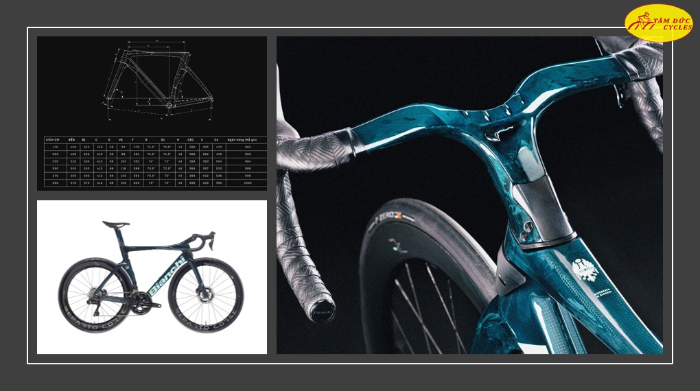 Bianchi oltre 140 TH RC