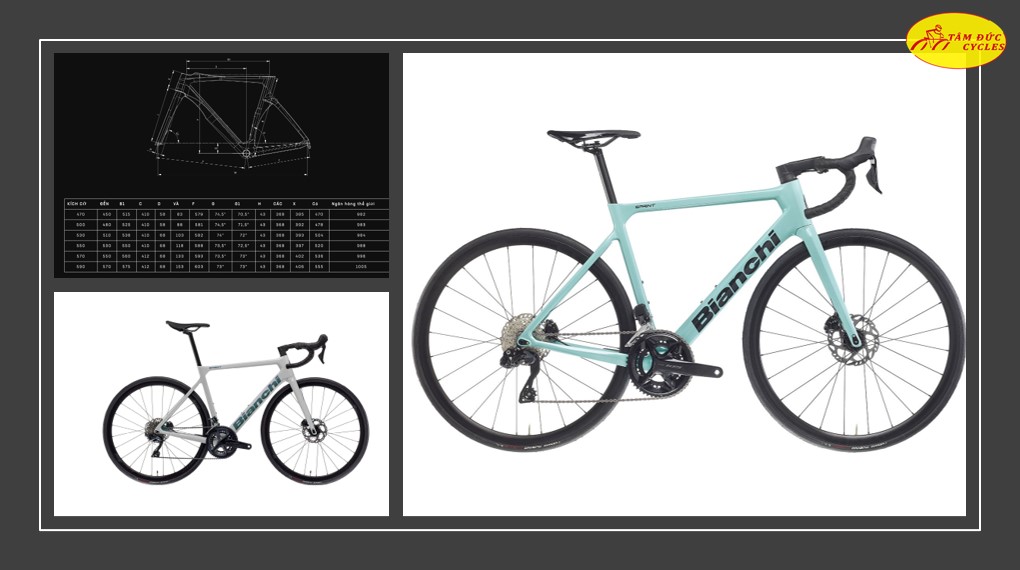 bianchi sprint shimano 105