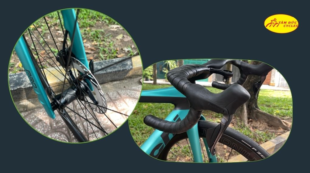 bianchi