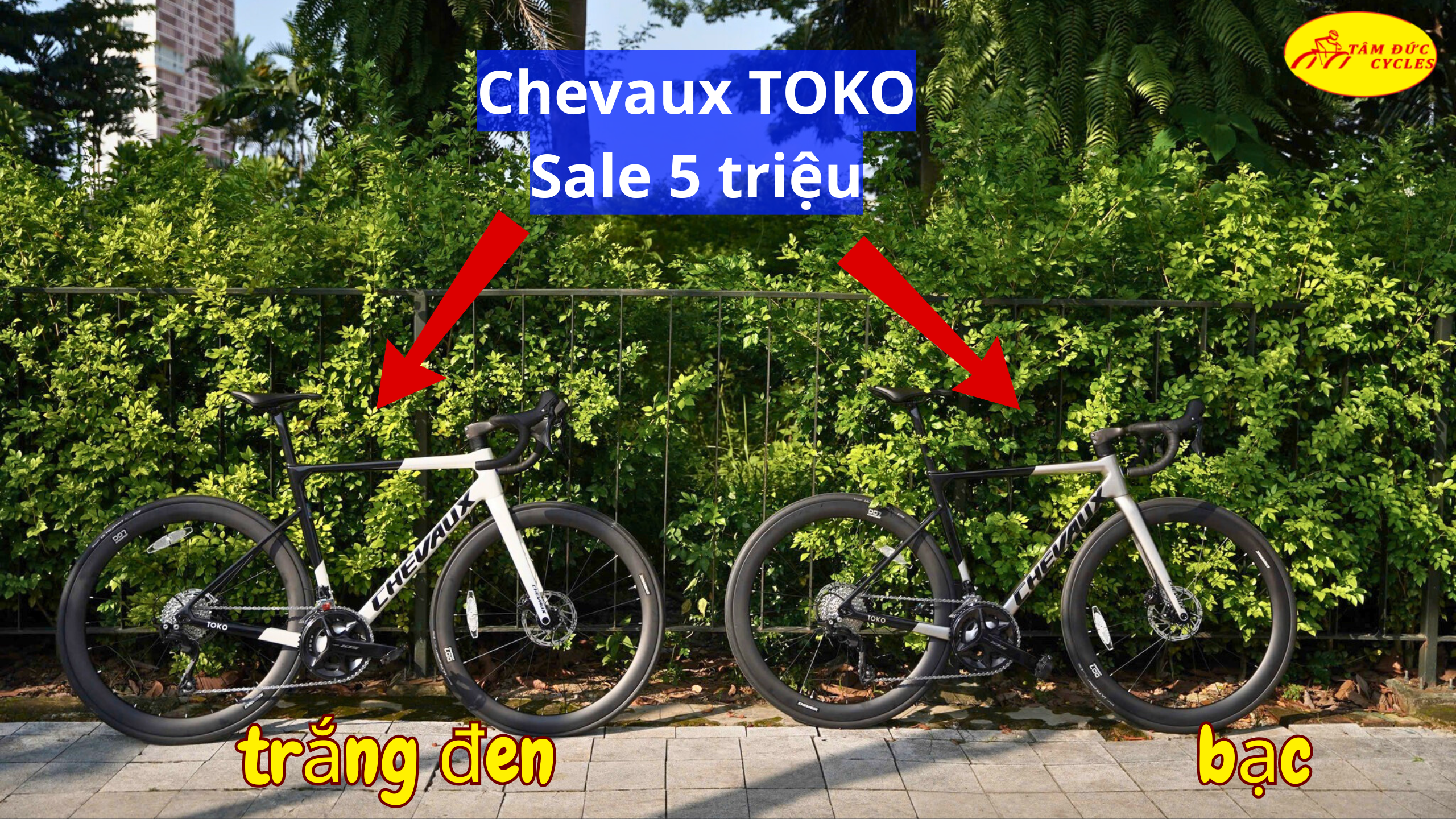 XE ĐẠP ĐUA CHEVAUX TOKO 2025