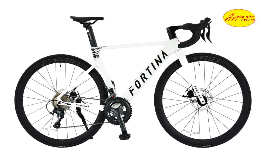 Xe đạp đua Fortina FR 7010