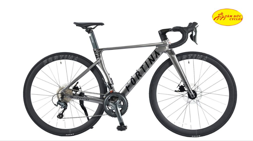 Xe đạp đua Fortina FR 7010