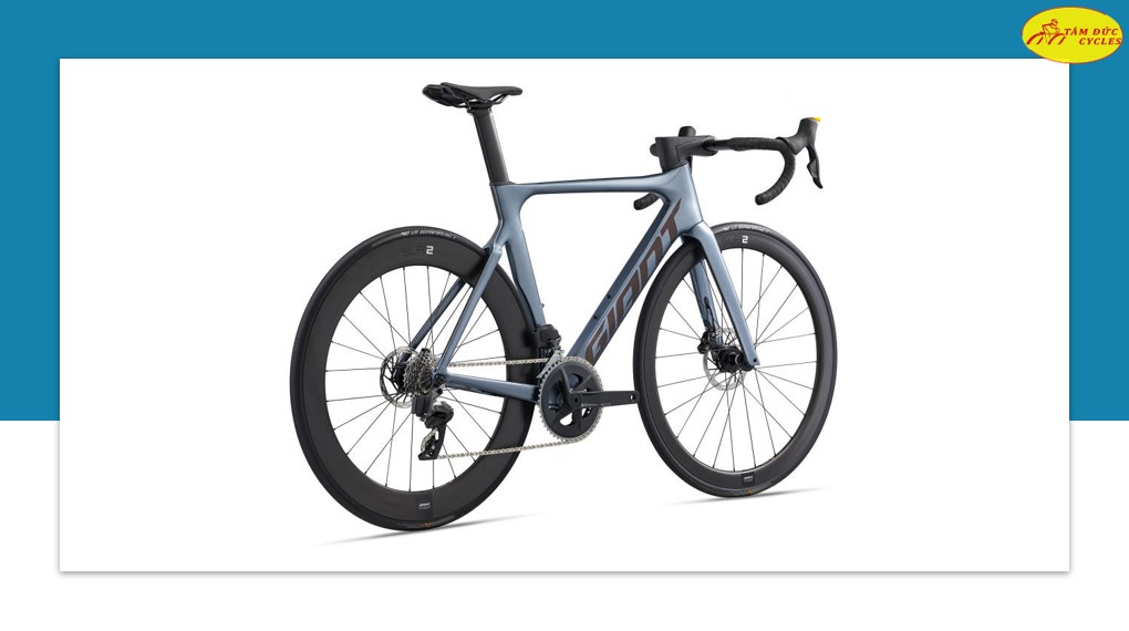 Giant propel 2022