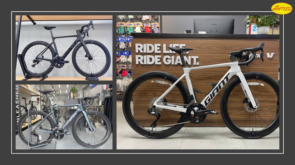 GIANT PROPEL ADV 1 mẫu mới 2025