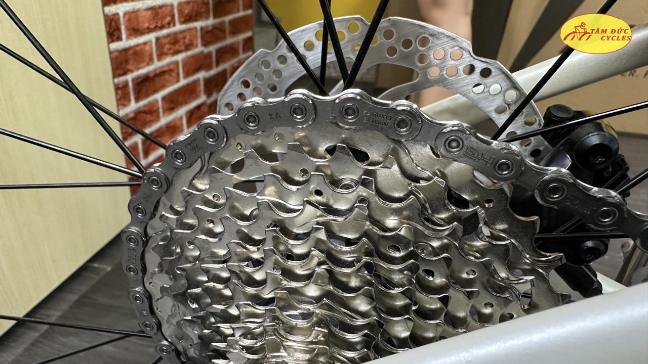 XE ĐẠP ĐUA NESTO PANDA 2024