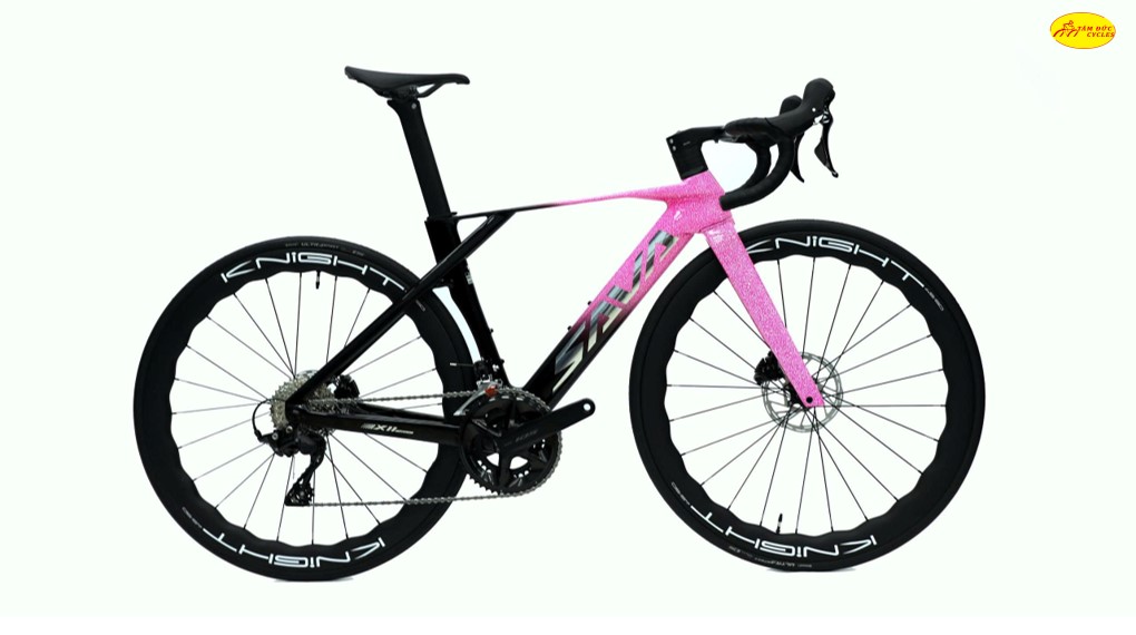 XE ĐẠP ĐUA SAVA X11