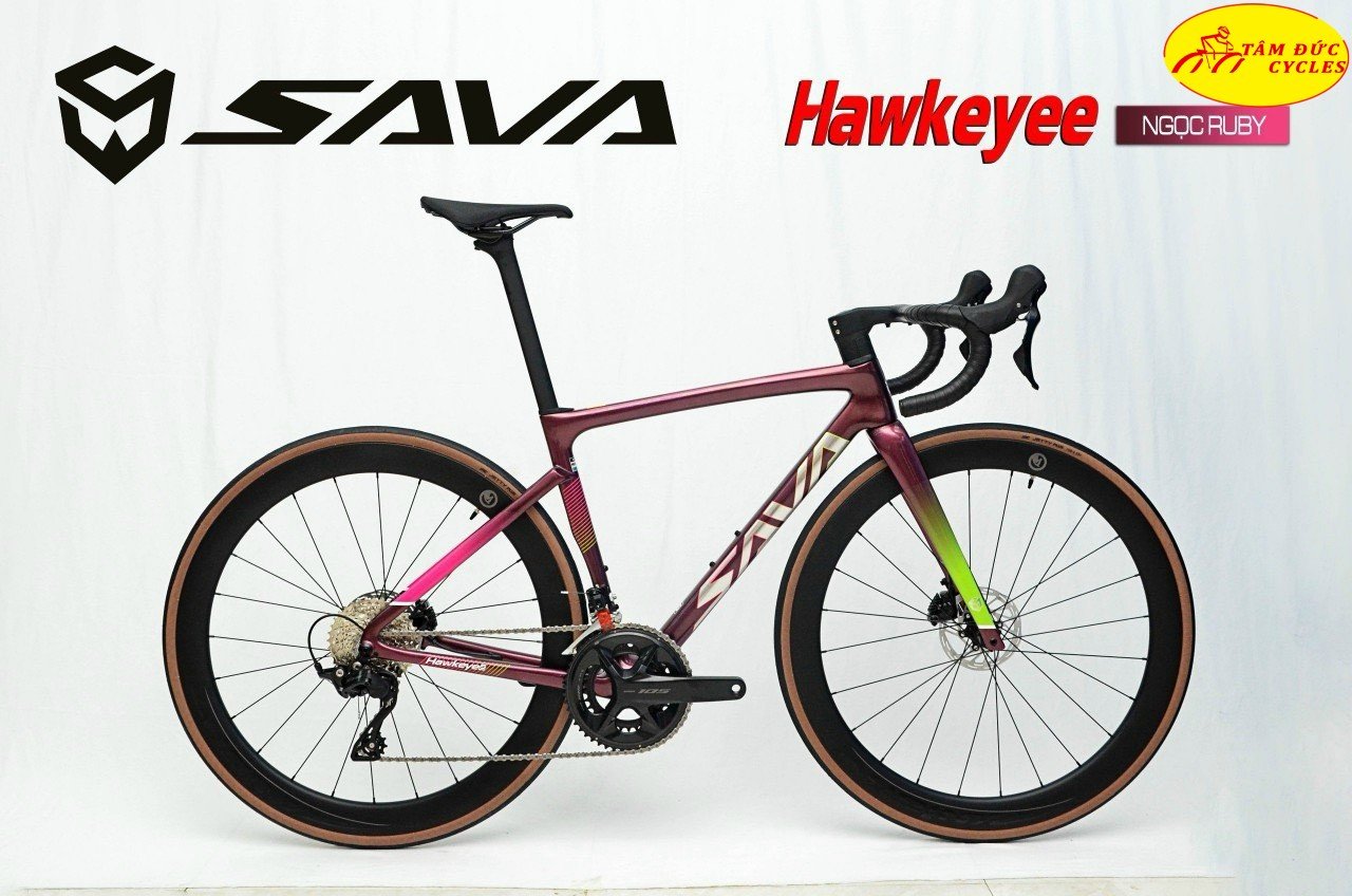 Xe đạp đua Sava Hawkeye F20