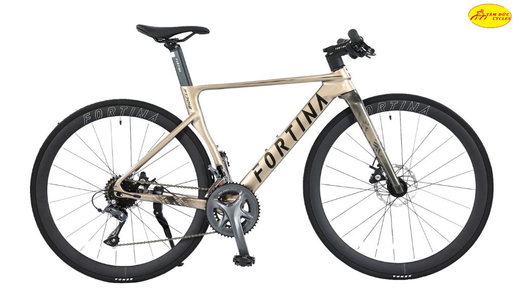 Xe đạp đường trường Fortina FT7012