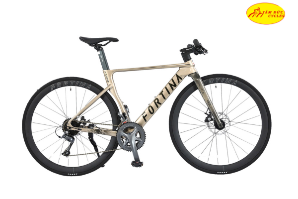 Xe đạp đường trường Fortina FT7012