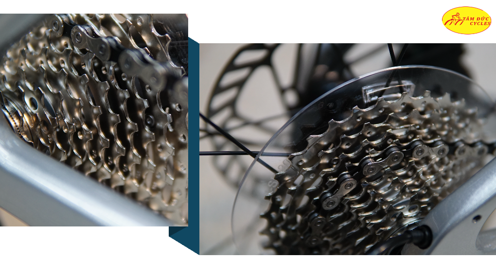 GIANT 2023 FASTROAD AR ADV 1