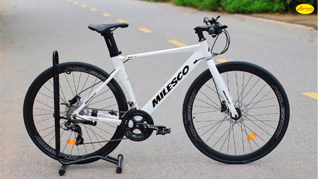 TOURING-MILESCO-EX-T