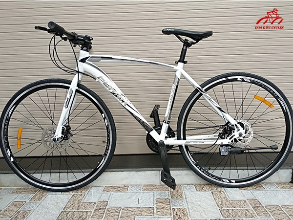 Xe đạp Fornix Fr303